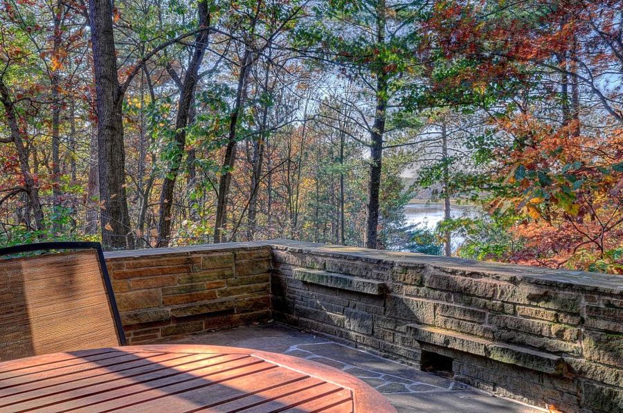 seth peterson lake view